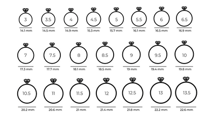 Acero y Plata S925 - Anillo “Royal Light” – LM®